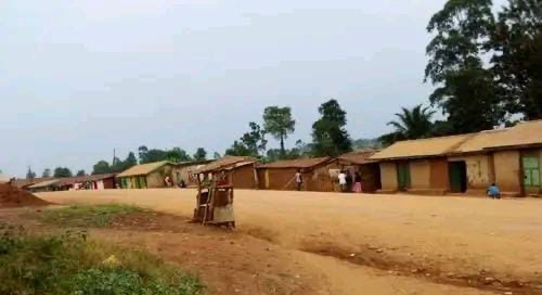 554ab78e 7a11 4007 b1ed 6e6420574125