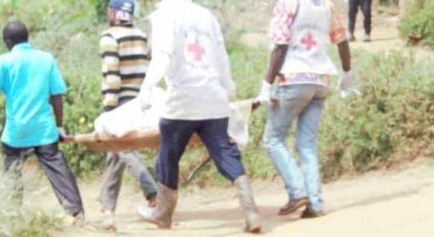 e1567208 9ca6 4b7a b362 954c0a02ea06